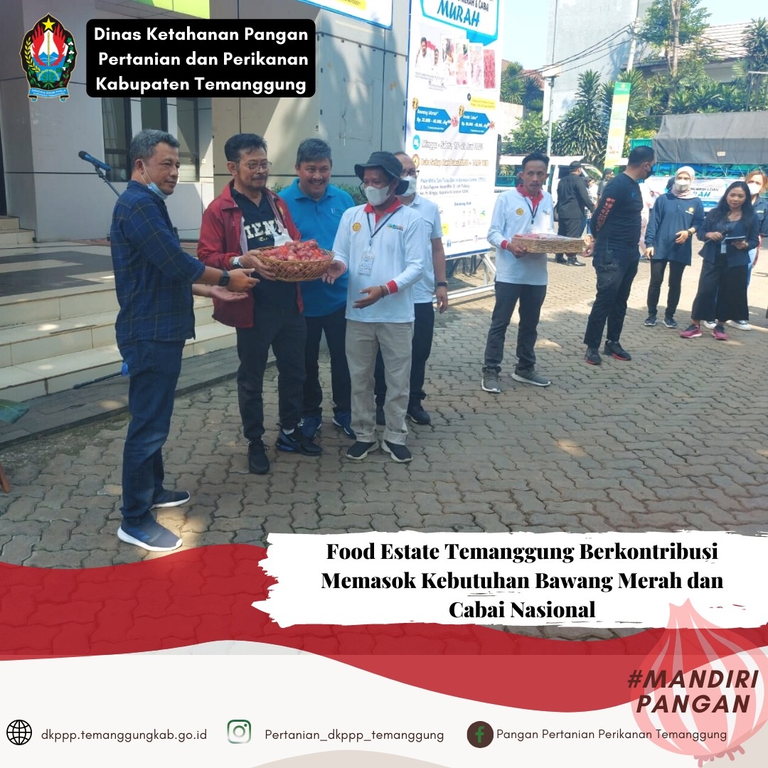 Food Estate Temanggung Berkontribusi Memasok Kebutuhan Bawang Merah dan Cabai Nasional