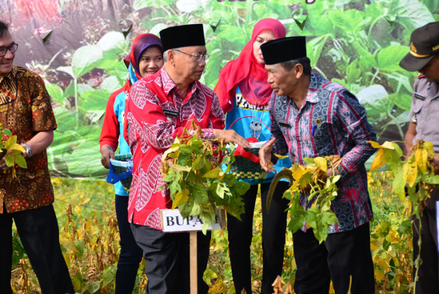 Panen Kedelai Bersama Bupati